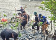 TPS Salurkan 3.000 Bibit Mangrove ke DLH Surabaya, Total 10.000 Bibit Sepanjang 2026
