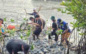 TPS Salurkan 3.000 Bibit Mangrove ke DLH Surabaya, Total 10.000 Bibit Sepanjang 2026