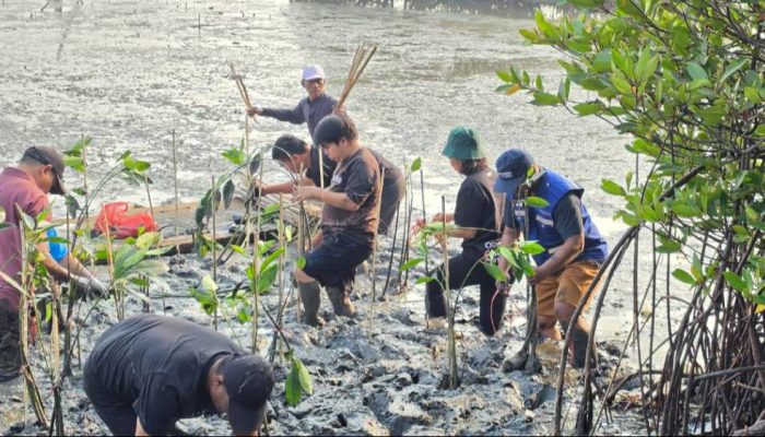 TPS Salurkan 3.000 Bibit Mangrove ke DLH Surabaya, Total 10.000 Bibit Sepanjang 2026
