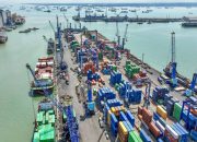 TTL Cetak Rekor Throughput, Tiga Terminal Petikemas Tumbuh Positif