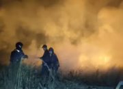 Empat Kecamatan Banyuwangi Dipetakan Rawan Kebakaran Hutan
