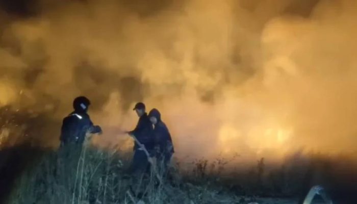 Empat Kecamatan Banyuwangi Dipetakan Rawan Kebakaran Hutan