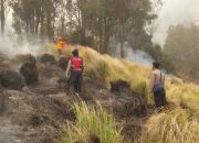 Kementerian Kehutanan Selidiki Penyebab Kebakaran Gunung Bromo, Dugaan Pidana Diburu