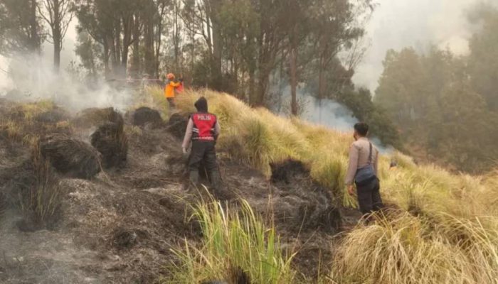 Kementerian Kehutanan Selidiki Penyebab Kebakaran Gunung Bromo, Dugaan Pidana Diburu