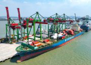 Tumbuh 12,38 Persen, Arus Petikemas Terminal Teluk Lamong Tembus 2,02 Juta TEUs hingga Agustus 2026