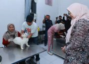Ratusan Kucing dan Anjing di Banyuwangi Dapat Vaksin Rabies Gratis