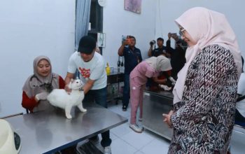 Ratusan Kucing dan Anjing di Banyuwangi Dapat Vaksin Rabies Gratis