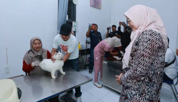 Ratusan Kucing dan Anjing di Banyuwangi Dapat Vaksin Rabies Gratis