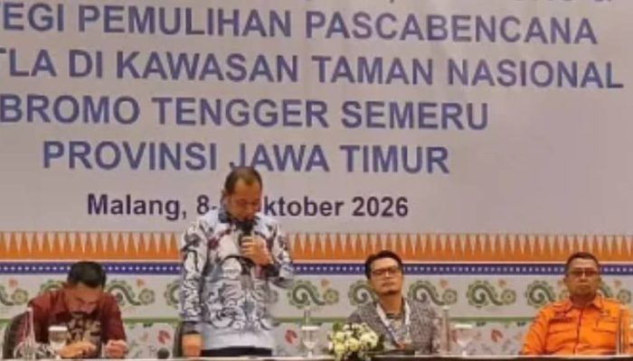 SiPongi Jadi Andalan BPBD Jatim Pantau Potensi Kebakaran Hutan di Bromo