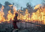 Emil Dardak Ungkap Karhutla Jatim 7.363 Hektare, Pemadaman Udara Dikoordinasikan