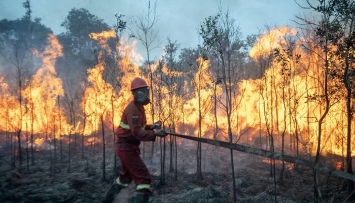 Emil Dardak Ungkap Karhutla Jatim 7.363 Hektare, Pemadaman Udara Dikoordinasikan